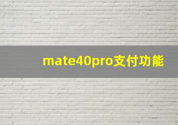 mate40pro支付功能