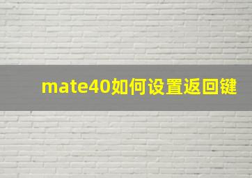 mate40如何设置返回键