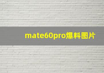 mate60pro爆料图片