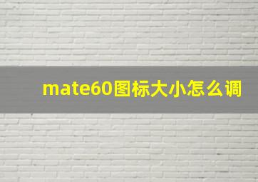 mate60图标大小怎么调