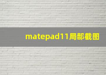 matepad11局部截图