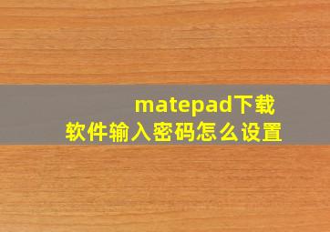 matepad下载软件输入密码怎么设置