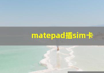 matepad插sim卡