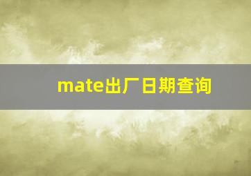 mate出厂日期查询