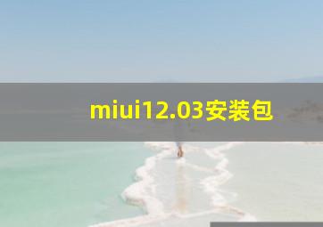 miui12.03安装包