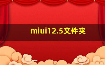 miui12.5文件夹