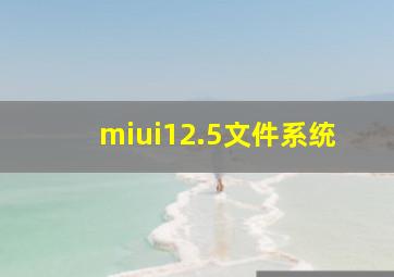 miui12.5文件系统