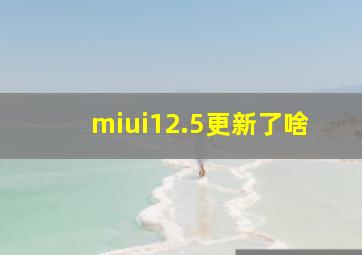 miui12.5更新了啥