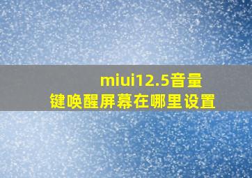 miui12.5音量键唤醒屏幕在哪里设置