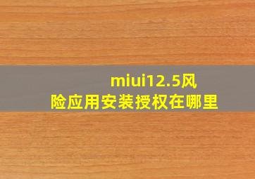 miui12.5风险应用安装授权在哪里