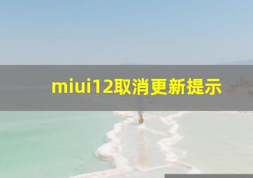 miui12取消更新提示