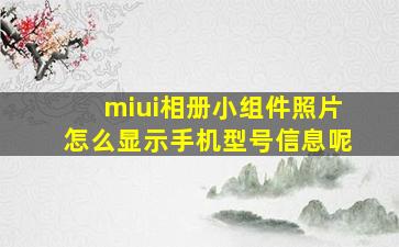 miui相册小组件照片怎么显示手机型号信息呢