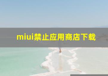 miui禁止应用商店下载