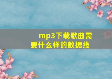 mp3下载歌曲需要什么样的数据线