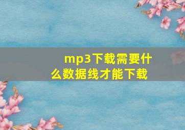 mp3下载需要什么数据线才能下载