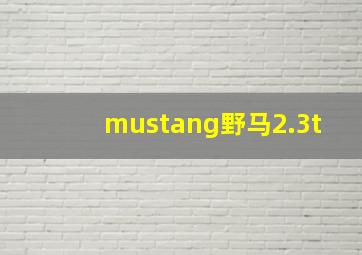 mustang野马2.3t