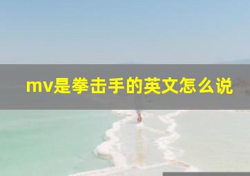 mv是拳击手的英文怎么说