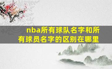 nba所有球队名字和所有球员名字的区别在哪里