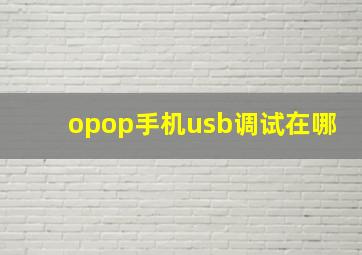 opop手机usb调试在哪