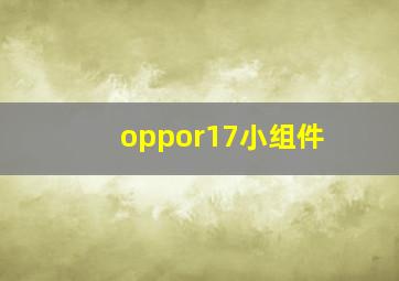 oppor17小组件