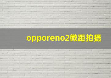 opporeno2微距拍摄