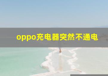 oppo充电器突然不通电