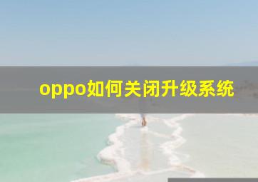 oppo如何关闭升级系统