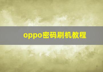 oppo密码刷机教程