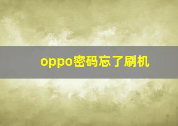 oppo密码忘了刷机