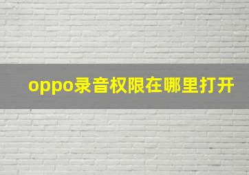 oppo录音权限在哪里打开