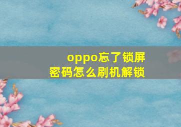 oppo忘了锁屏密码怎么刷机解锁