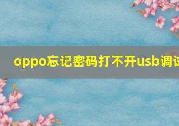 oppo忘记密码打不开usb调试