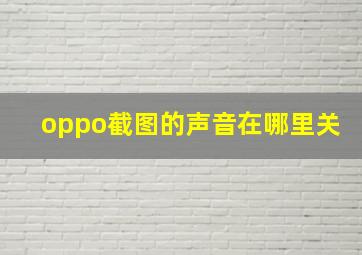 oppo截图的声音在哪里关