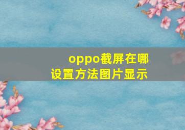 oppo截屏在哪设置方法图片显示