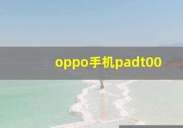 oppo手机padt00