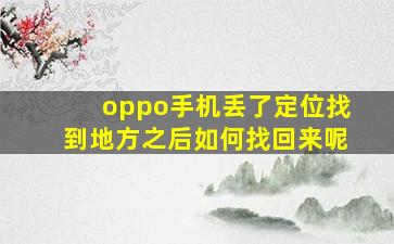 oppo手机丢了定位找到地方之后如何找回来呢