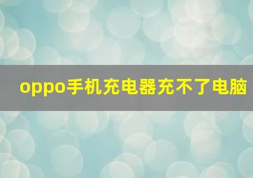 oppo手机充电器充不了电脑