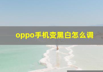 oppo手机变黑白怎么调