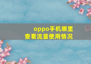 oppo手机哪里查看流量使用情况