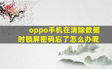 oppo手机在清除数据时锁屏密码忘了怎么办呢