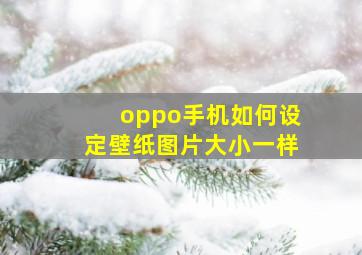 oppo手机如何设定壁纸图片大小一样