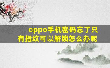 oppo手机密码忘了只有指纹可以解锁怎么办呢