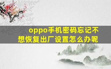 oppo手机密码忘记不想恢复出厂设置怎么办呢