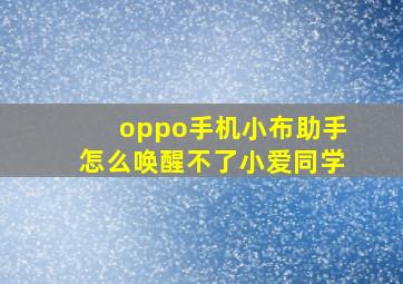 oppo手机小布助手怎么唤醒不了小爱同学