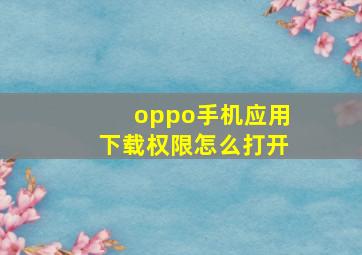 oppo手机应用下载权限怎么打开