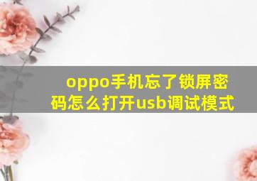 oppo手机忘了锁屏密码怎么打开usb调试模式