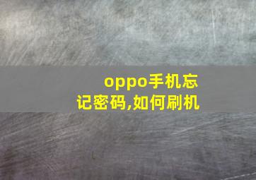 oppo手机忘记密码,如何刷机