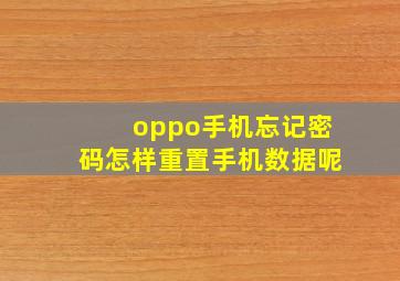 oppo手机忘记密码怎样重置手机数据呢