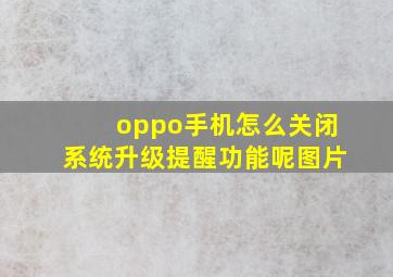 oppo手机怎么关闭系统升级提醒功能呢图片