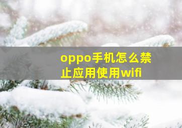 oppo手机怎么禁止应用使用wifi